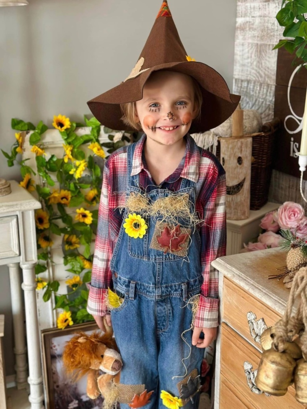 Wizard Of Oz Scarecrow Costume Age 7-10